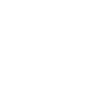 portinari